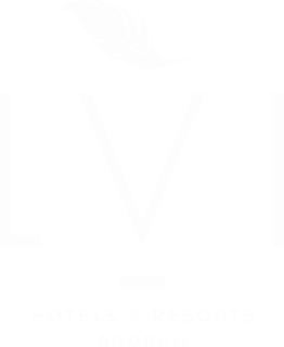 Lvi