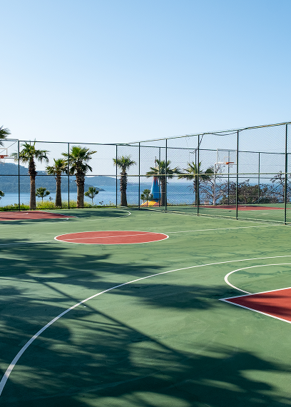 Basketball